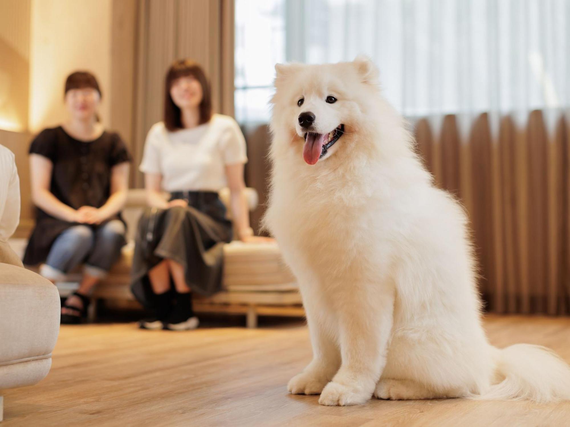 Kamenoi Hotel Tsukubasan ภายนอก รูปภาพ